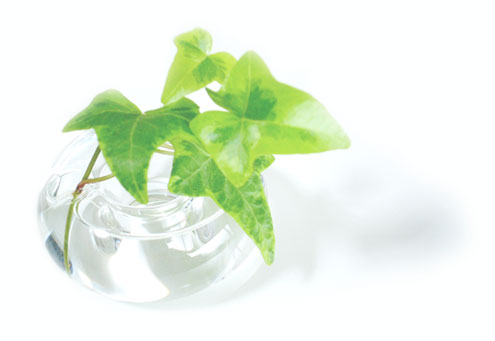 布局太死板？6個(gè)小技巧讓你的網(wǎng)頁(yè)設(shè)計(jì)活力十足！